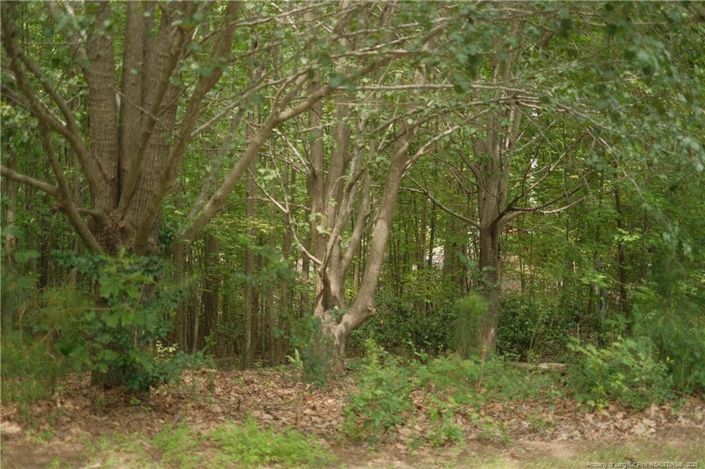 Image 3: Photo 3