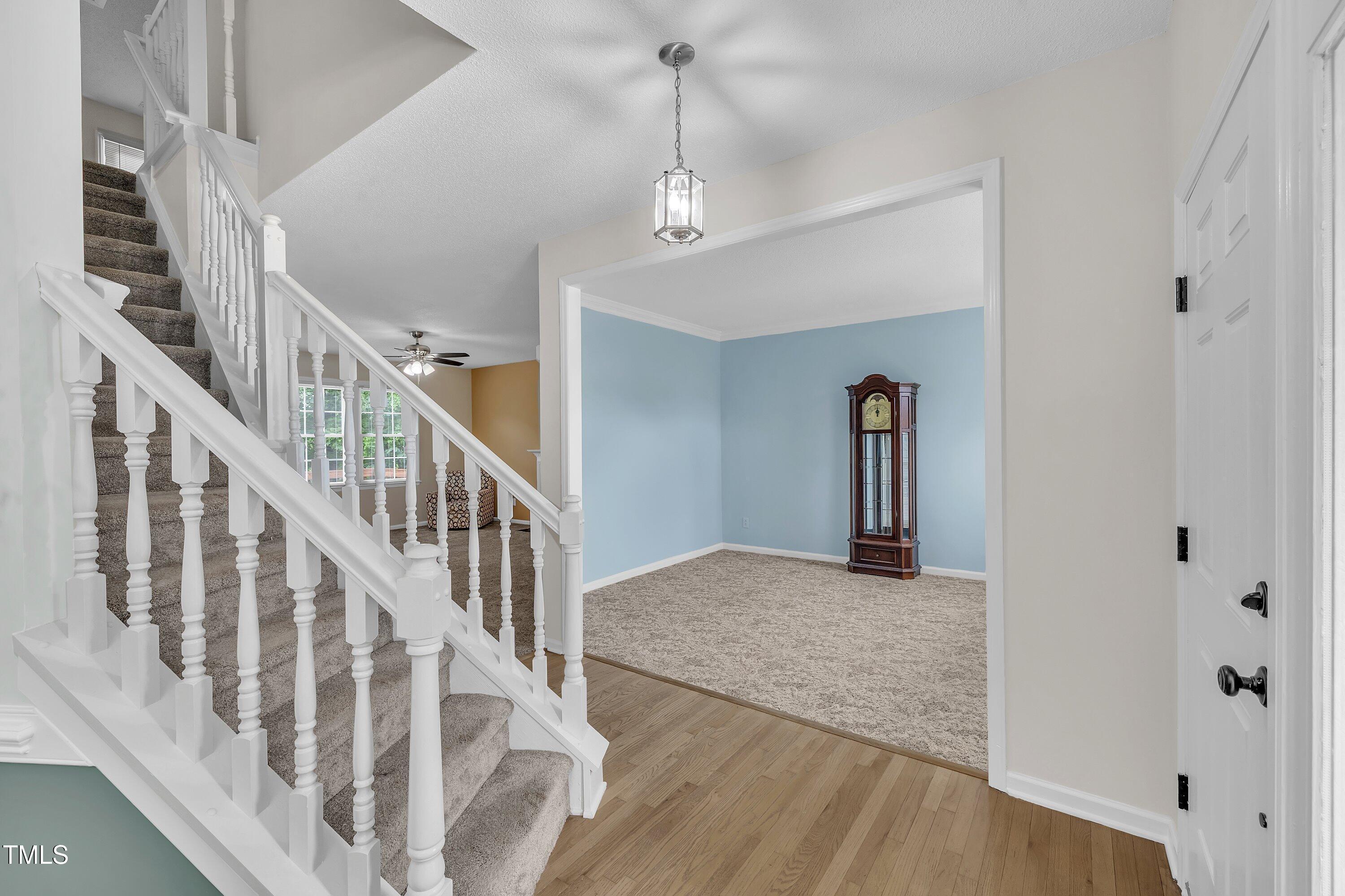 Image 4: 08-103 Springberry-12