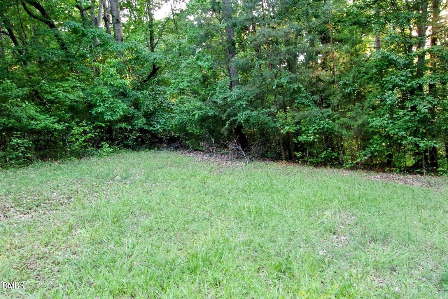 Image 2: Fork Junction photo 4-EDIT