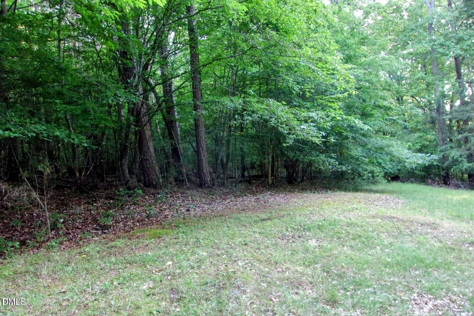 Image 3: Fork Junction Photo 2-EDIT