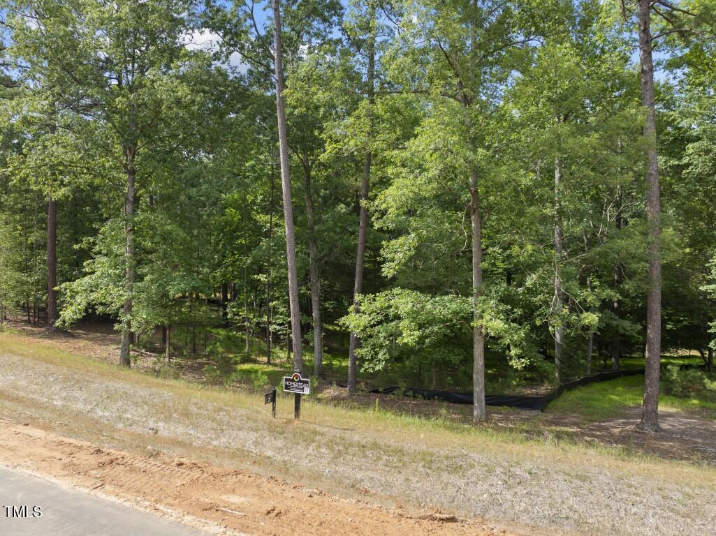 Image 3: DJI_20250617163348_0141_D (Medium)