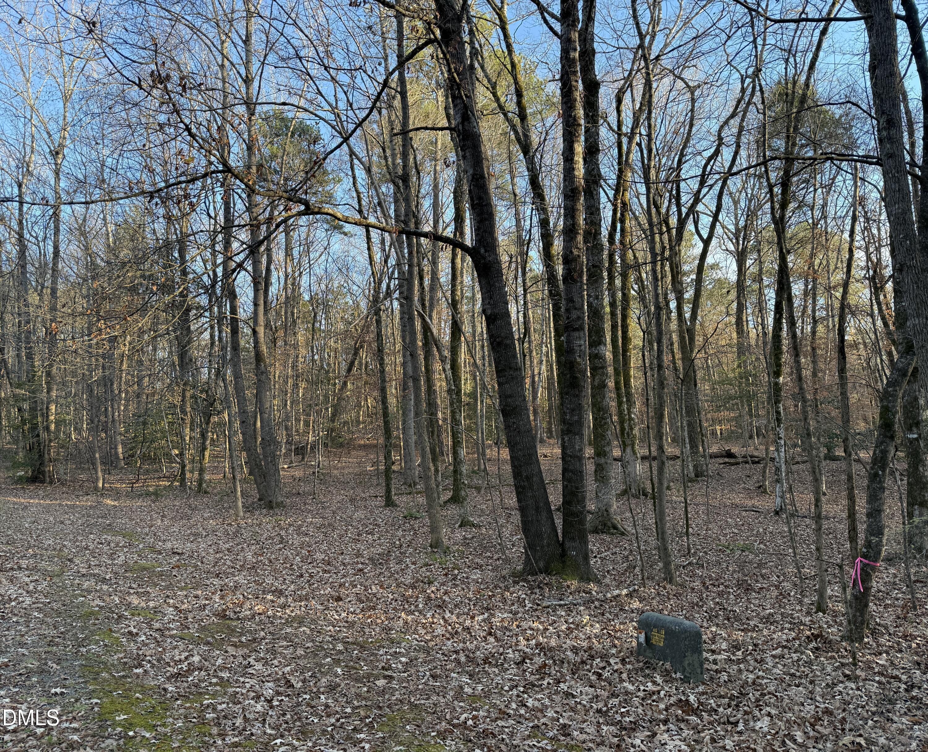 Image 2: IMG_1368
