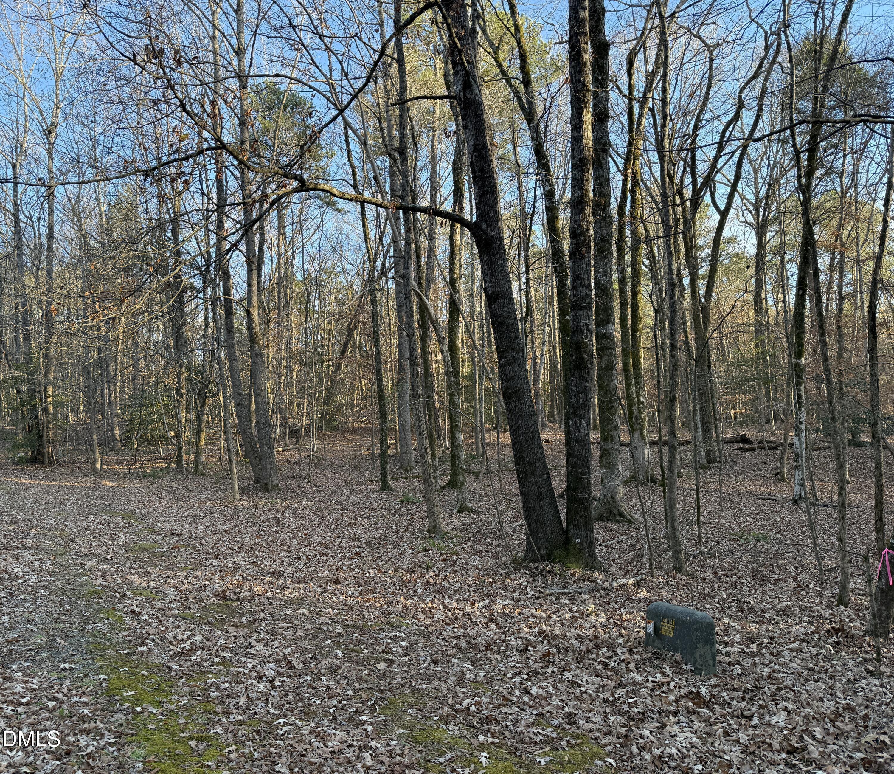 Image 3: IMG_1369