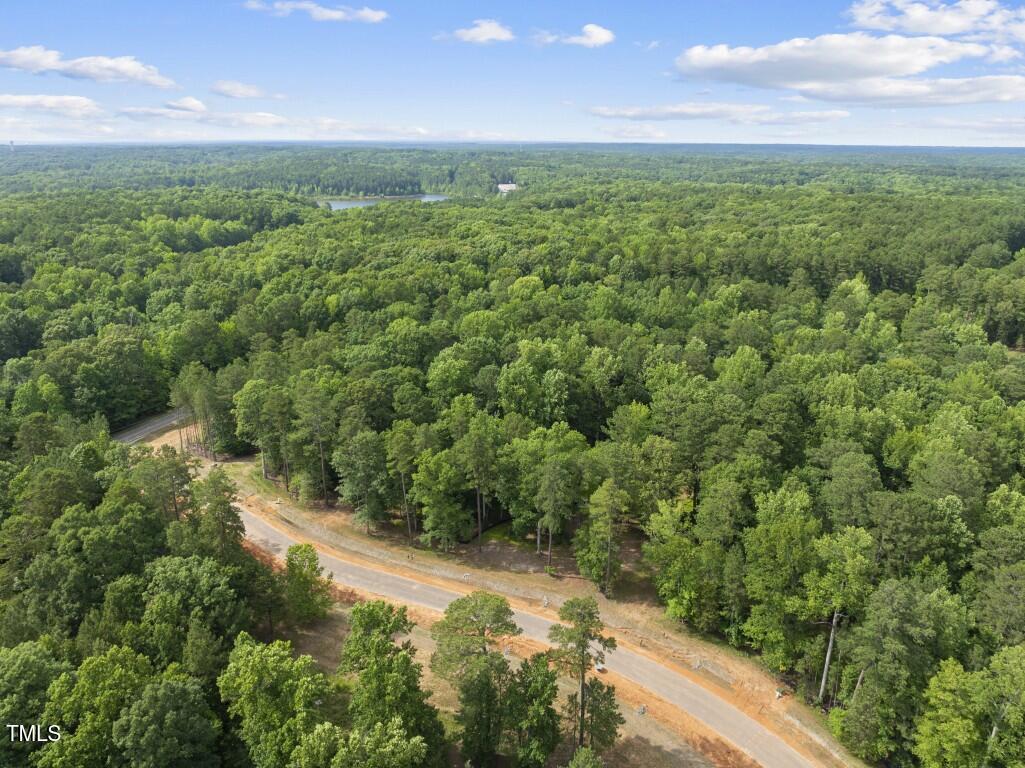 Image 4: DJI_20250617162728_0090_D (Medium)