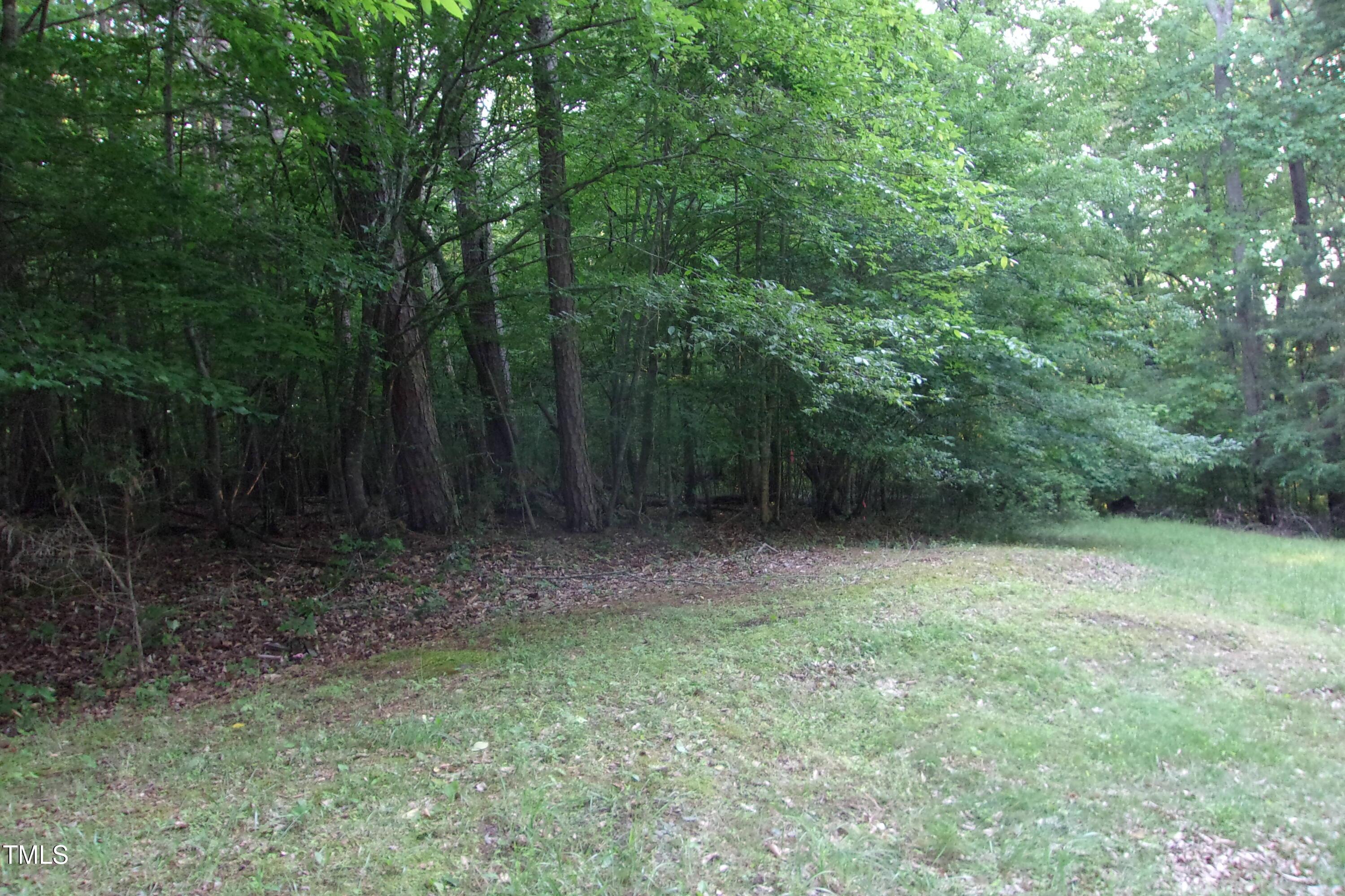 Image 4: junctionforks2