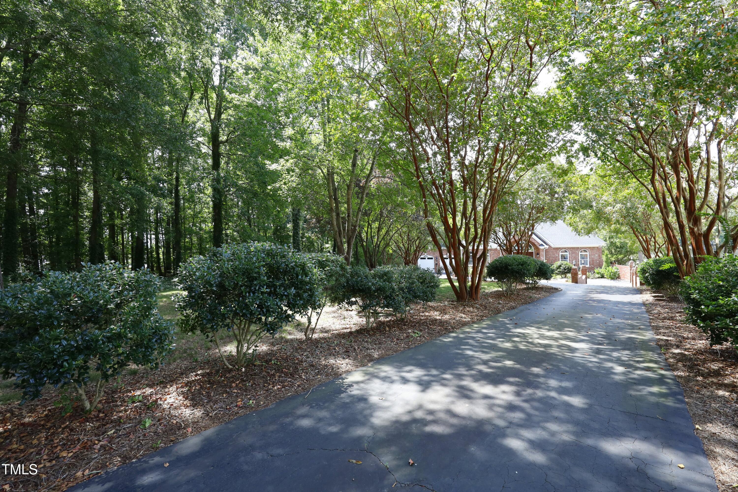 Image 3: 03LongDriveway