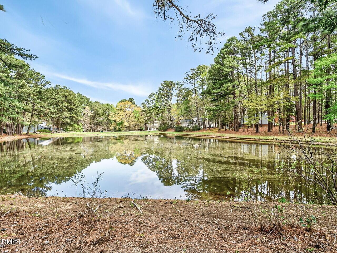 Image 2: 034-1280x960-pond-view