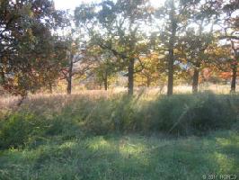 TBD Oak Lane