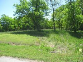 Holstein Trail