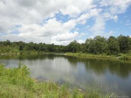 Piney Creek Road