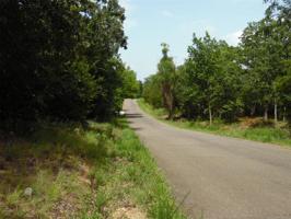 Phillips Road