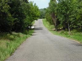 Phillips Road