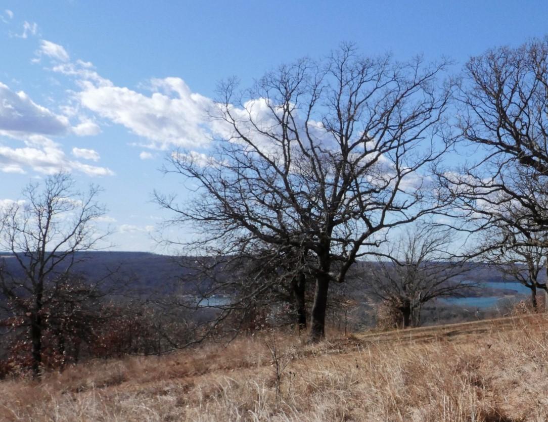Image 3: Expansive natural landscape featuring a distant bo