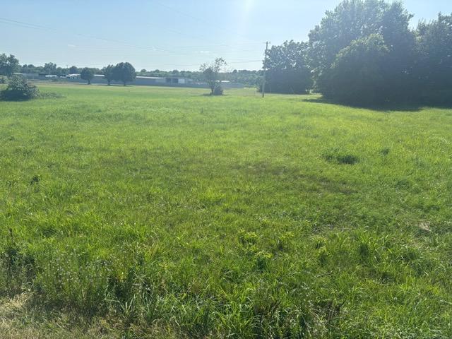 Image 2: Expansive green acreage featuring a clear land are