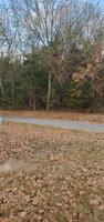 Whippoorwill Road
