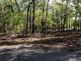 117118 Little John Lane