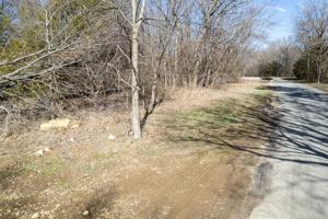 Lakeside Drive N