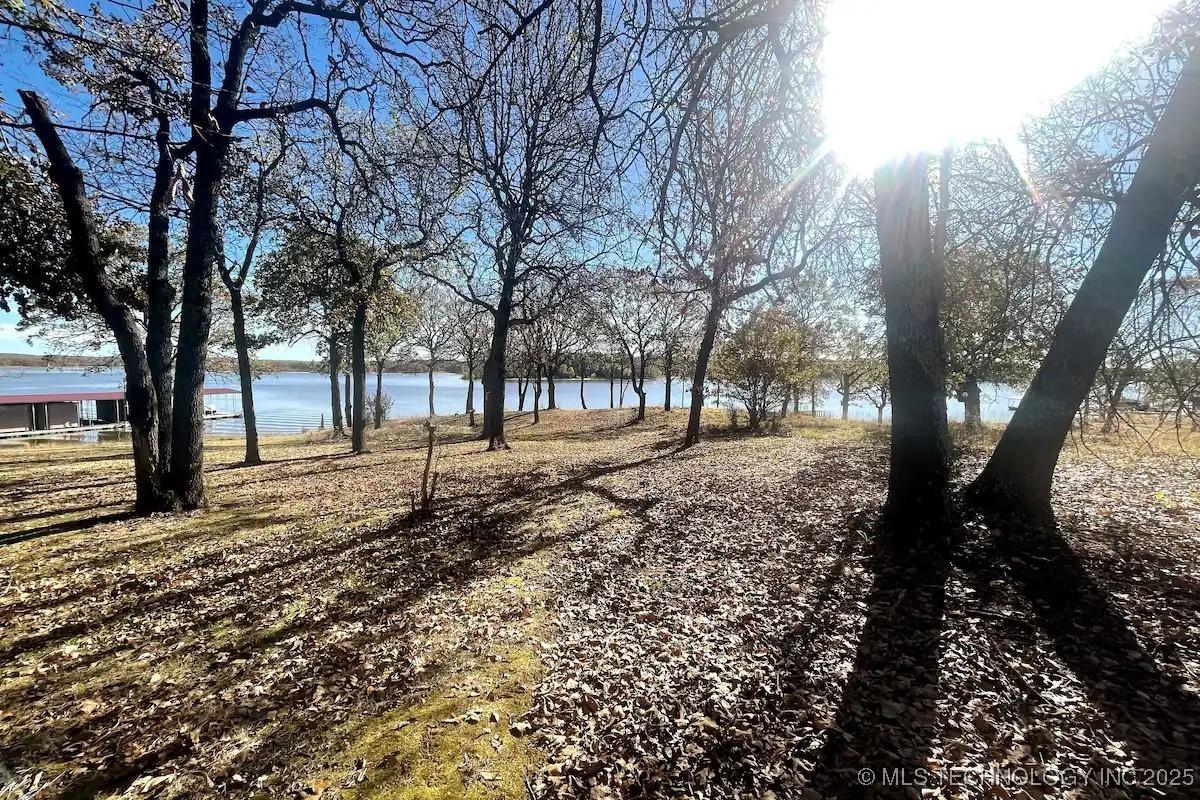 Image 4: View of Lake