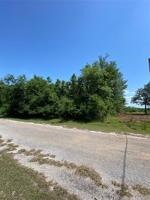 Leaning Oaks Lane