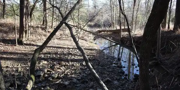 Savage Road