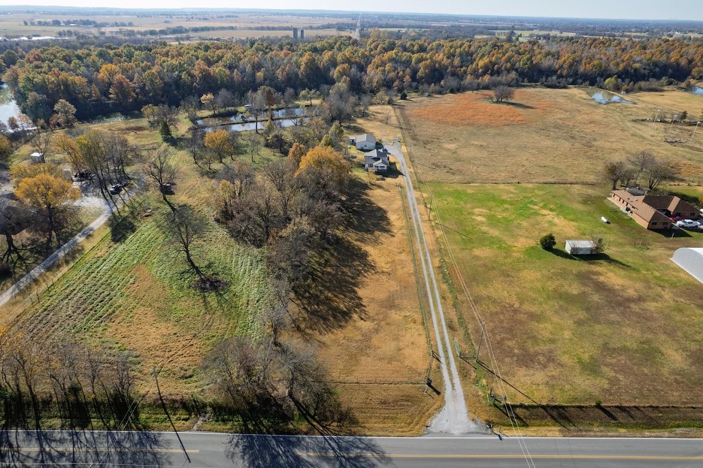 Image 2: Expansive undeveloped land featuring mature trees,