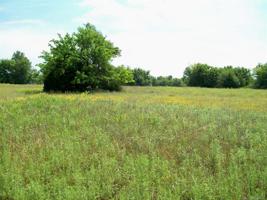 Green Meadow Drive