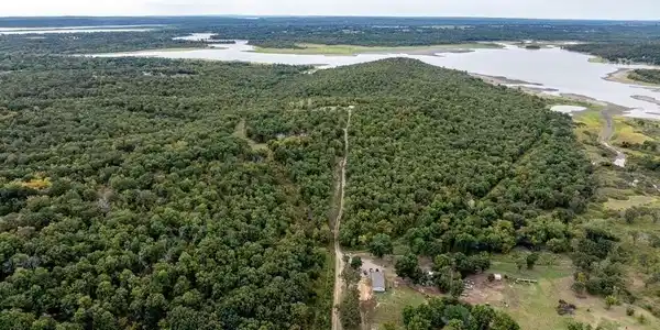 Image 3: Expansive wooded acreage with a water body border