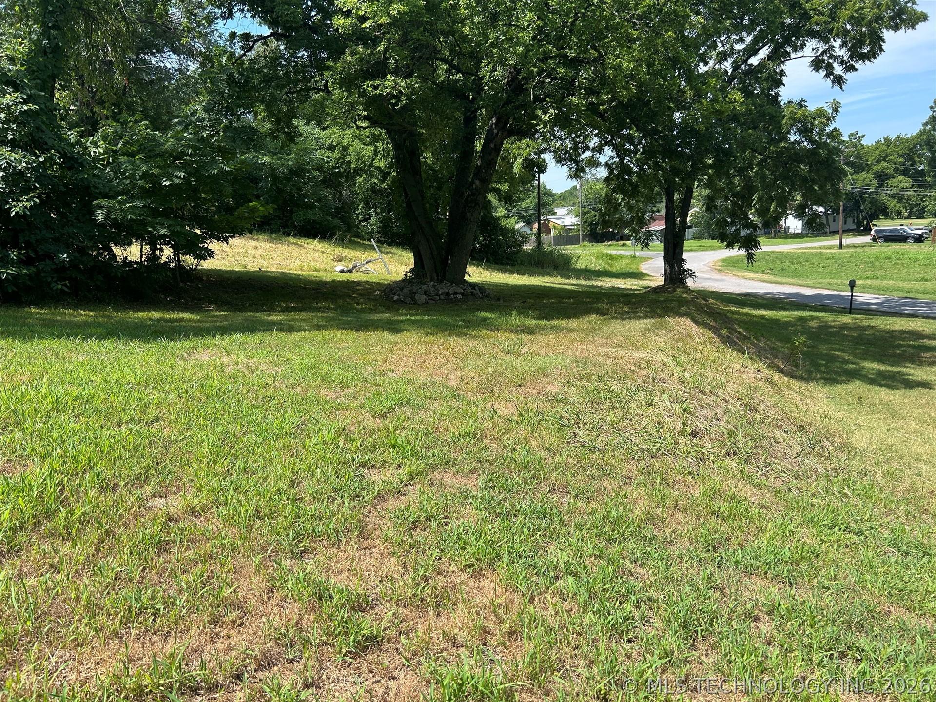 Image 2: Expansive green space featuring established trees