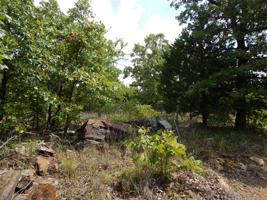 Jones Creek Road