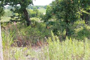 Hickory Hill Drive