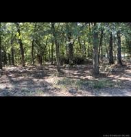 1901 Scenic View
