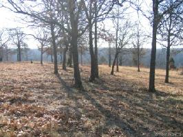 TBD E Wilderness Road