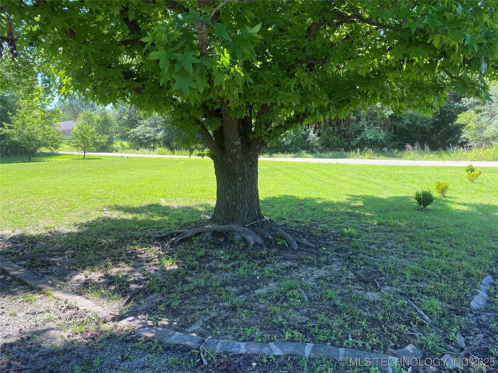 Image 3: Front Yard