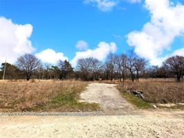Oak Drive