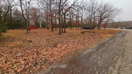 Lone Wolf Drive