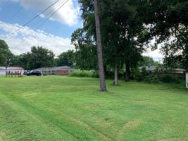 164 Cove Lane