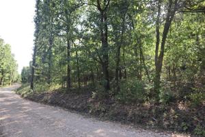 Running Springs Road