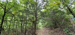 4240 Road