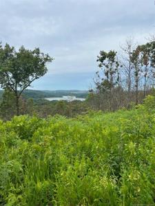 28770 S 585 Road