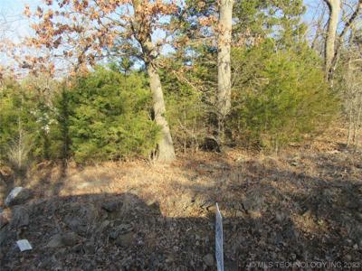 Appaloosa Piney Creek 9
