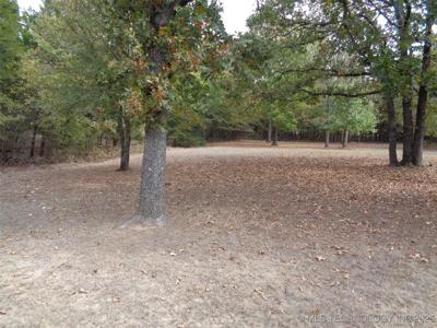 Oak Avenue