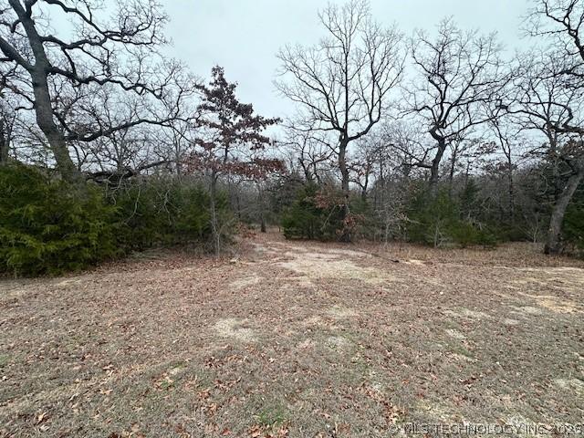Image 3: LOT 1  adjoins the CORP ON THE EAST SIDE OF LOT