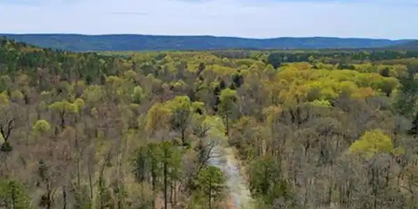 Savage Road