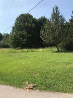 Cedar Point Drive