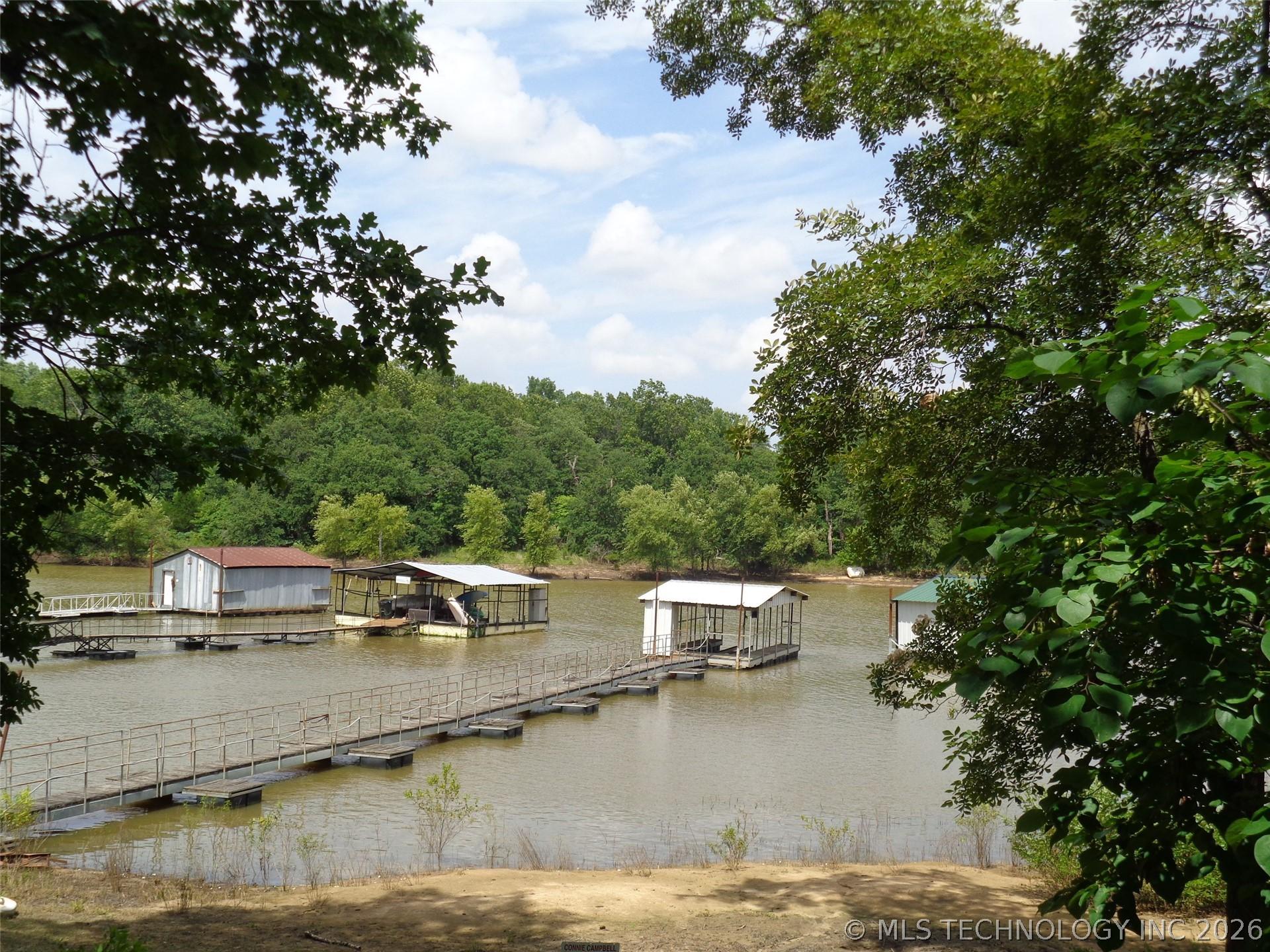 Image 2: Looking toward lake from the house