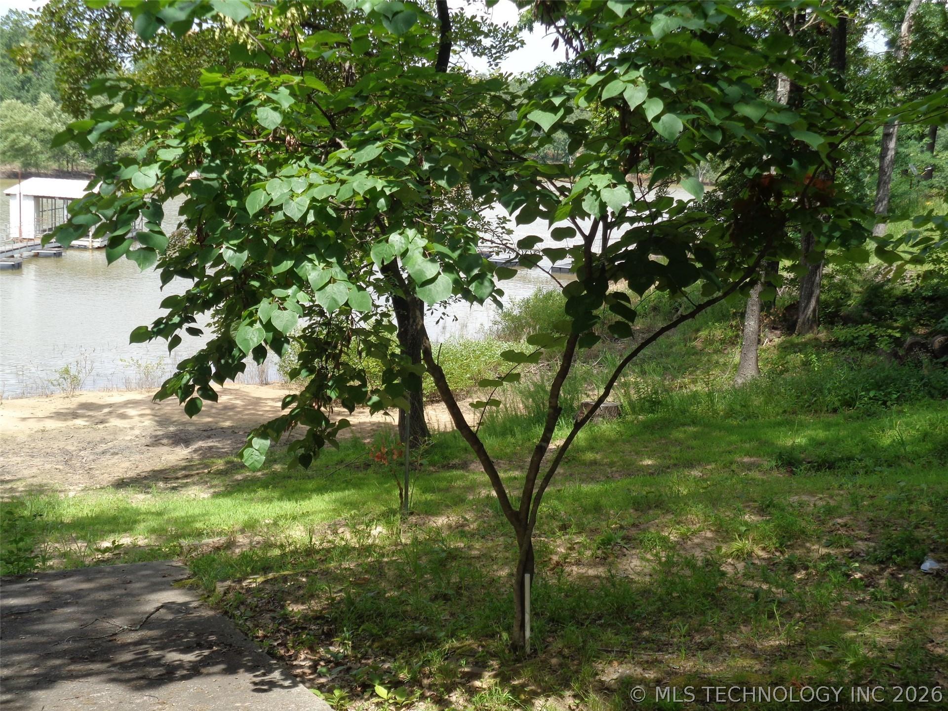 Image 3: Sandy beach in front of house