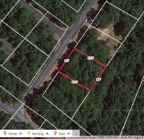 1120 N Lakeshore Bluff