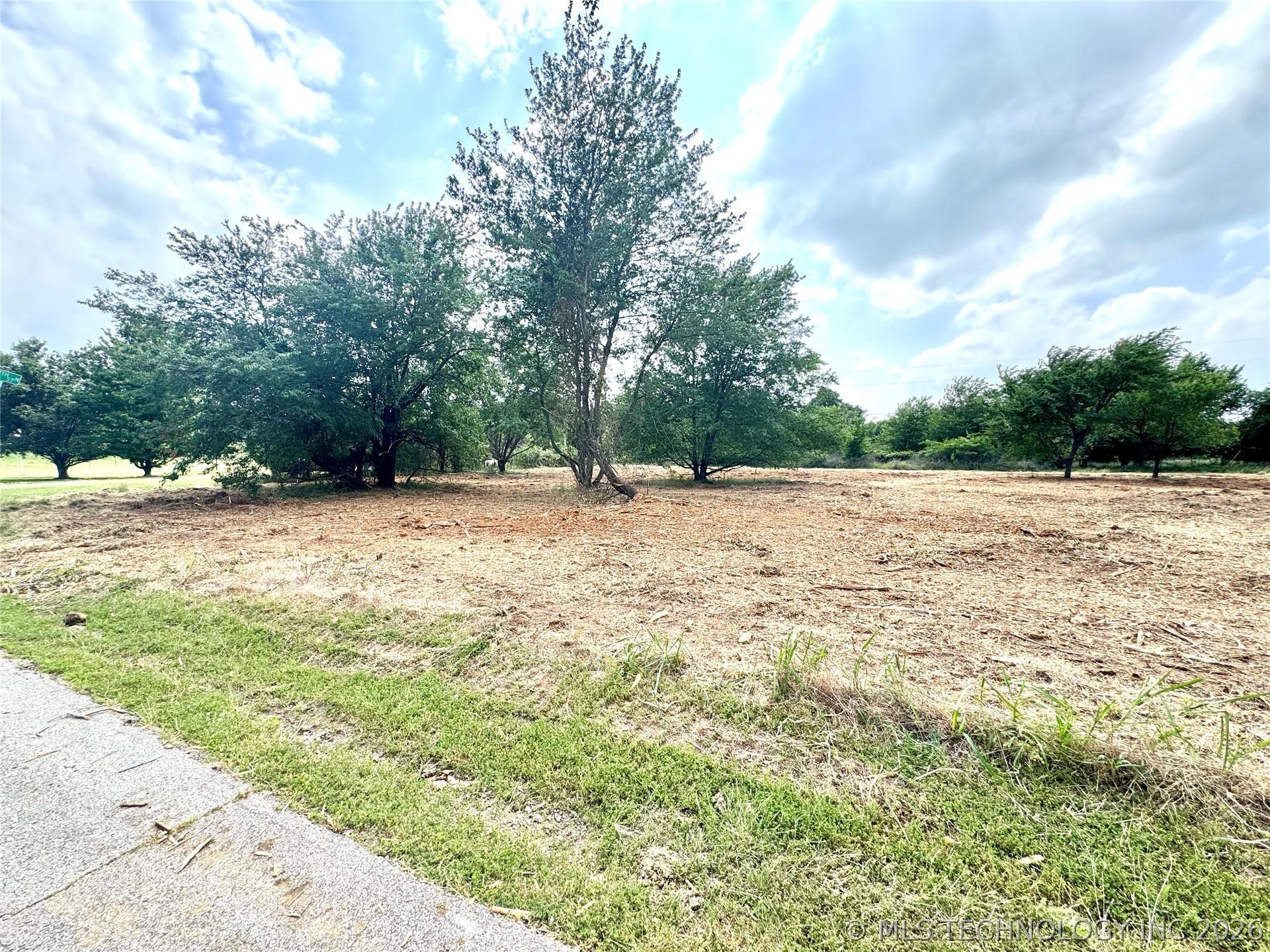 Image 1: Cleared land parcel featuring mature trees, a part