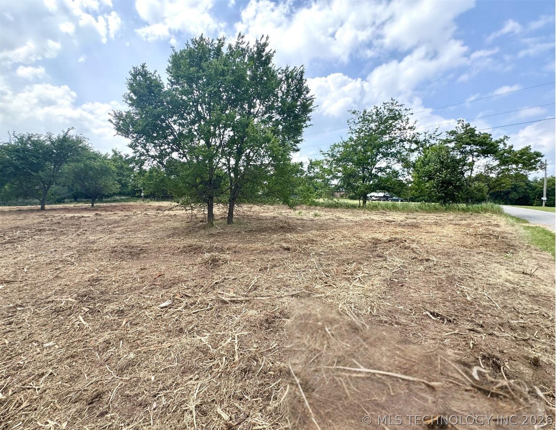 Image 3: Cleared land parcel featuring several mature trees