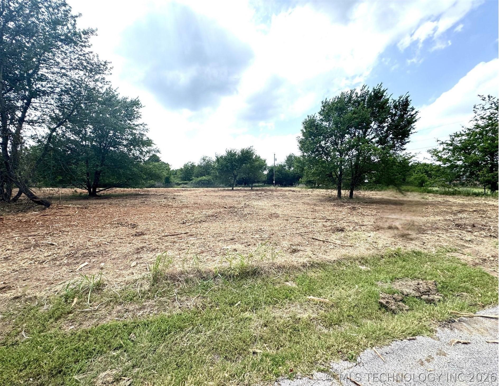 Image 4: Expansive cleared lot with scattered mature trees
